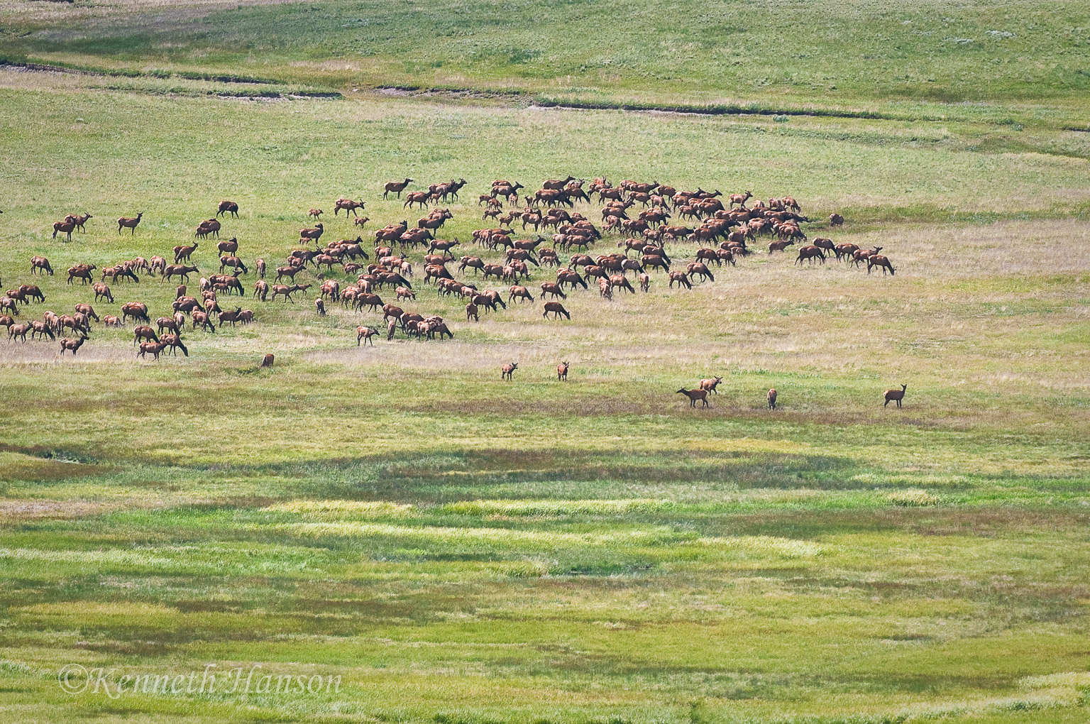 Valle Grande, Valles Caldera National Preserve, NM