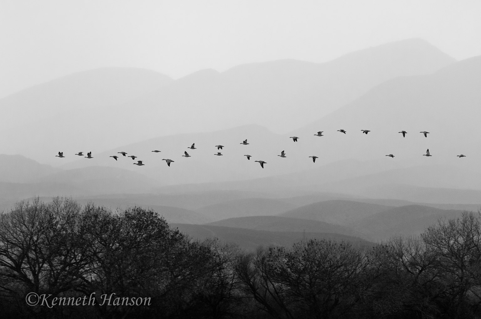 Bosque del Apache NWR, NM