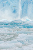 Tracy Arm, Alaska