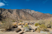 Anza Borrego State Park, California