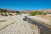 Anza Borrego State Park, California
