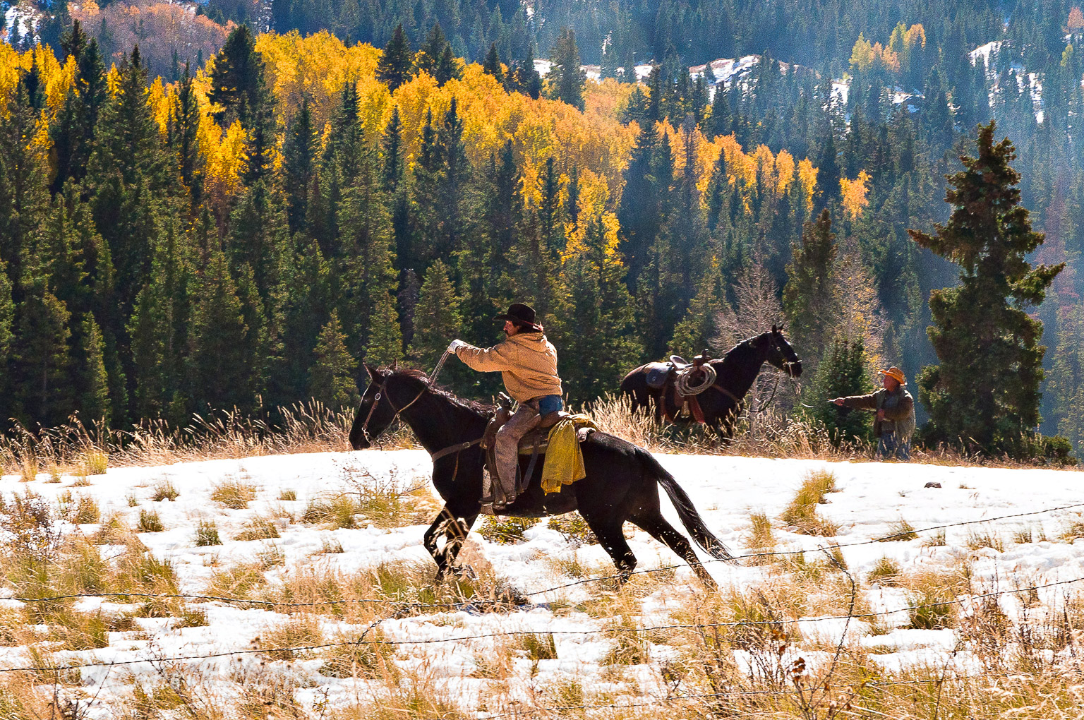 near Cumbres Pass, CO