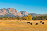 Tierra Amarilla, NM