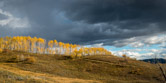 Near Steamboat Lake