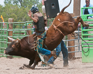 Bull rider